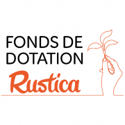 Stage chargé -e de collecte de fonds