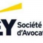 Avocat débutant en droit public des affaires - Lyon H/F
