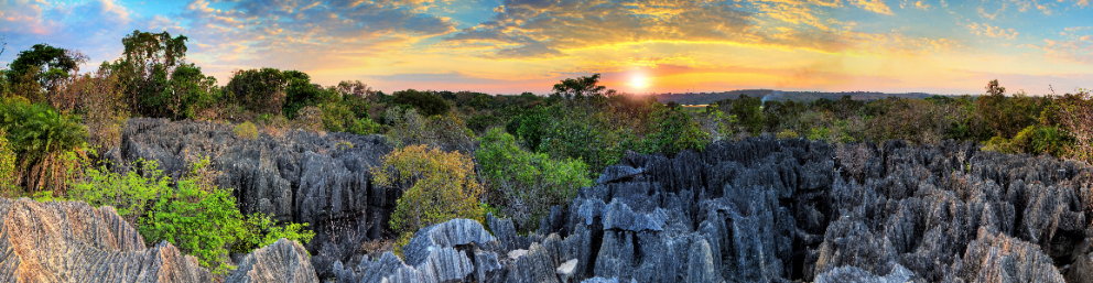 Madagascar