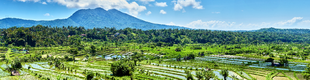 Indonesia / Indonésie