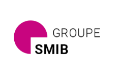 Strategy and Management of International Business (SMIB)