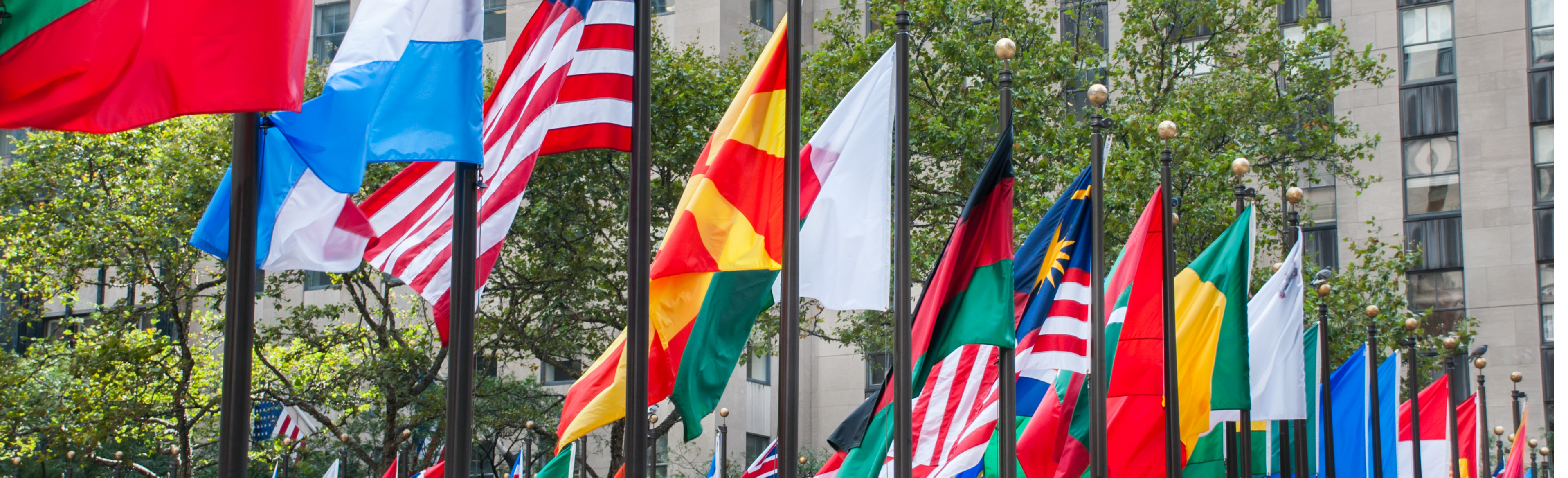 Diplomatie & Affaires Internationales / Diplomacy & International Affairs