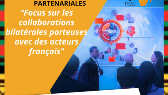 Intelligence économique et informationnelle Europe-Afrique : nouvelles dynamiques partenariales