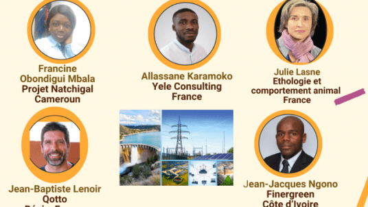 Quelles alternatives à l’hydroélectricité pour accélérer  la transition énergétique en Afrique subsaharienne ?