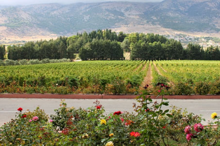 Une soirée avec Chateau Kefraya : dégustation de vins libanais et accords mets-vins