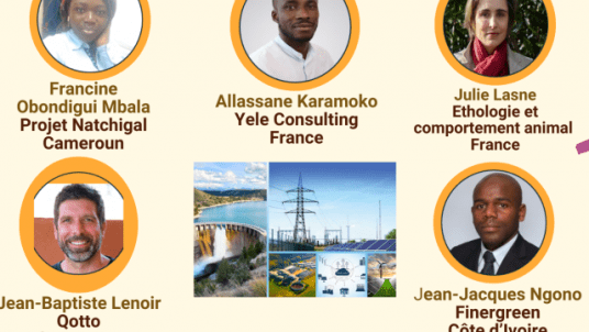 Quelles Alternatives à l'Hydroélectricité pour accélérer la transition énergétique en Afrique Subsaharienne ?
