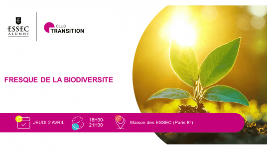 Fresque de la biodiversité