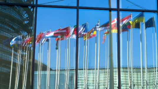 The New Competition in Multilateralism (Online Seminar) - IRENE
