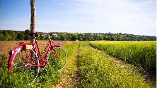 Bike Tours - L'Alsace à vélo - Parc naturel régional des Vosges du Nord + Route des vins entre Strasbourg et Colmar - Du 15 au 20 mai 2024 (5 jours à vélo / 5 nuits d'hébergement )
