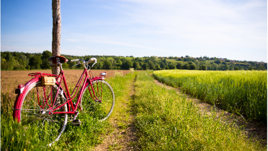 Bike Tour - L'Alsace à vélo - Strasbourg - Colmar par la route des vins - Du 17 au 20 mai 2024 (3 jours à vélo / 3 nuits d'hébergement) 